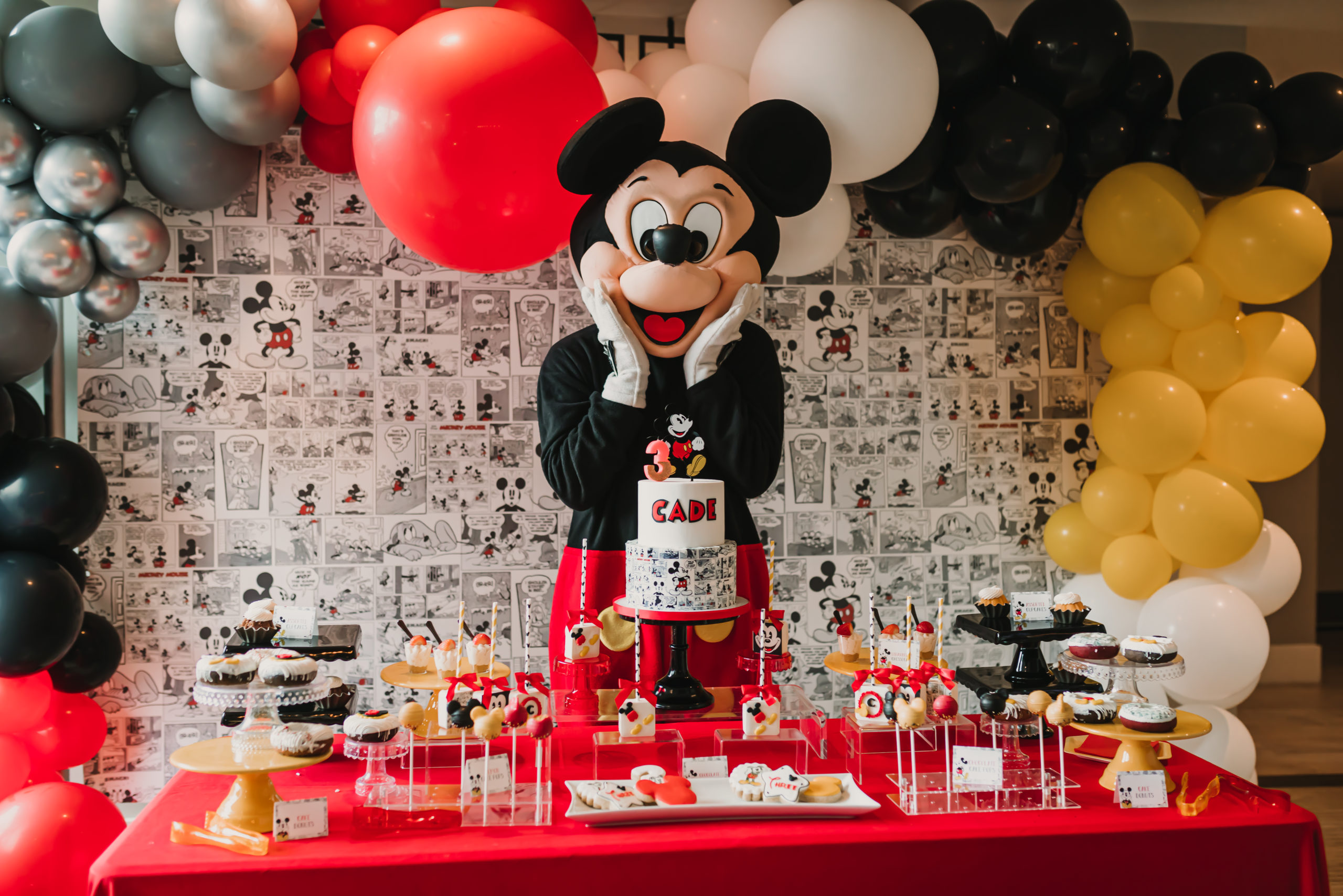 Mickey Mouse Inspired Party